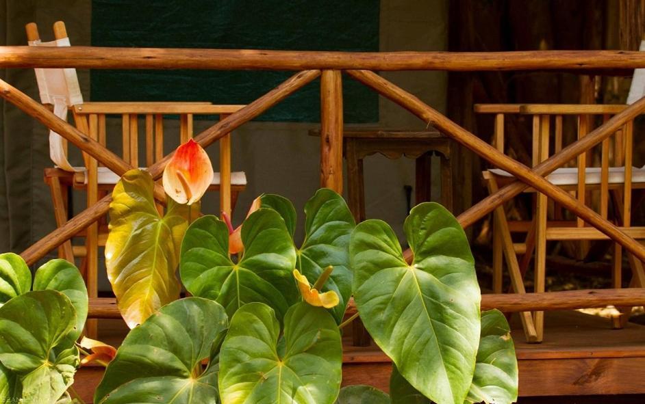 Simbamwenni Lodge And Camping Morogoro Luaran gambar