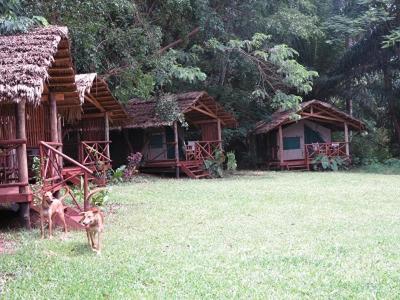 Simbamwenni Lodge And Camping Morogoro Luaran gambar
