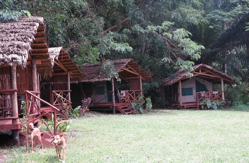 Simbamwenni Lodge And Camping Morogoro Luaran gambar