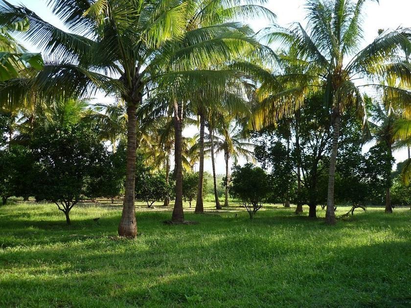 Simbamwenni Lodge And Camping Morogoro Luaran gambar